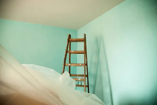 cartongesso verde