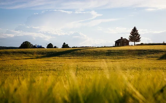 come definire i confini di un terreno agricolo