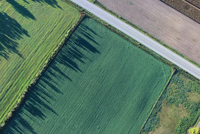 terreno agricolo-confine-proprietà-catasto terreni