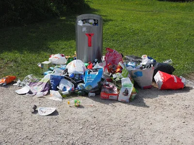 rifiuti abbandonati-immondizia-plastica-inquinamento