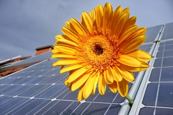 celle fotovoltaiche perovskite