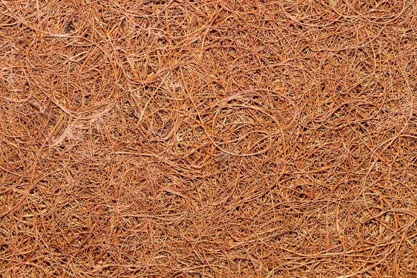 isolanti ecologici