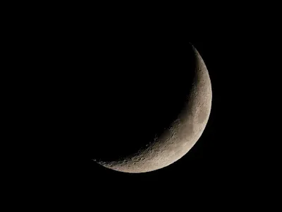 luna-fasi lunar-semina-agricoltura