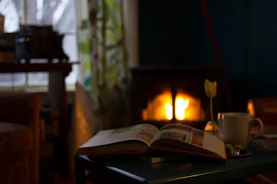 canna-fumaria-fuoco-stufa-a-pellet